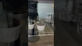1 августа 2024 г.