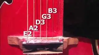 Standard and Alternative Guitar Tuning
