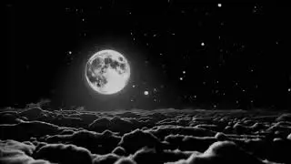 Music WEBM