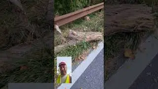 Moving Logs to Help Save Motorcyclists