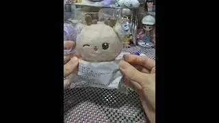 231228 (開箱 Unboxing 94) Yoona 윤아  10cm Doll