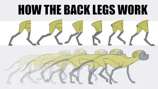 How to Animate - Dog Walk Cycle - 2d Animation Tutorial