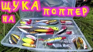 Ловля ЩУКИ на ПОВЕРХНОСТНЫЕ ПРИМАНКИ. Нашёл КЛЮЧ К УСПЕХУ. СЕРЕБРИСТЫЙ БОЧОНОК ЛУПИТ ЩУК В БОЛОТЕ.
