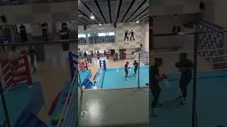 boxing of tiger