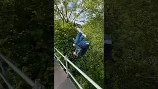 INSANE TREE JUMP