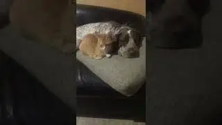 Боль от Утраты ДРУГА!!!