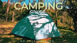 Not Solo Camping Campfire Crackle and Night Ambience ASMR