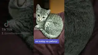 Дуськины мысли вслух