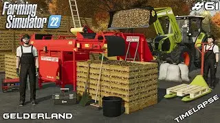 Boxing POTATOES with GRIMME box filler | Animals on Gelderland | Farming Simulator 22 | Episode 61