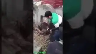 Мор дар болои  кабр . Astaghfirullah