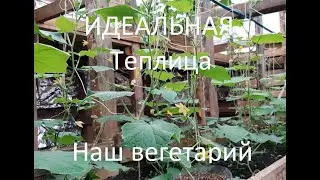 ИДЕАЛЬНАЯ ТЕПЛИЦА