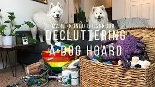 Decluttering Samoyed Toys! | BarkBox Unboxing and Dog Supply Purge #SustainableSummer