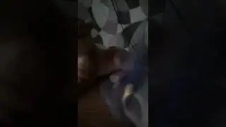 три кошелька канал кирилл тв