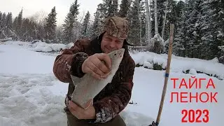 КАК "ХРОНИКИ" ИСКАЛИ ХАРИУСА, А НАШЛИ ЛЕНКОВ-МОНСТРОВ! СИБИРСКАЯ РЫБАЛКА НА МАЛЕНЬКОЙ ТАЁЖНОЙ РЕЧКЕ!