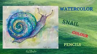 How to draw a snail. We draw illustrations of different animals.