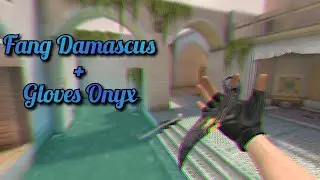 Fang Damascus + Gloves Onyx