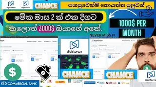 මේක මාස 2 ක් එක දිගට කලොත් 3000$ ඔයාගේ අතේ.