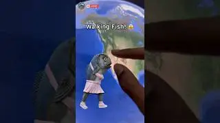 Fish With Legs Found On Google Earth 