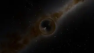 A Journey to the MACHO-96-BLG-5 black hole