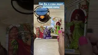 #таро #tarot #таролог