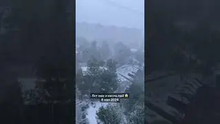 Вот такая весна в Москве