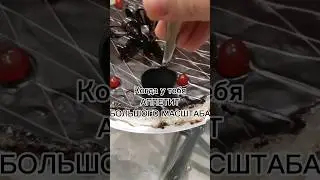 прикол #прикол #асмр #приколысживотными #мем #юмор #рецепт #рек #еда #эдит #пп #похудение #питомцы
