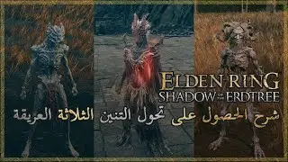 Shadow of the Erdtree شرح الحصول على تحول التنين الثلاثة العريقة