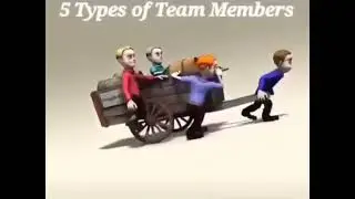 Type of Team Members