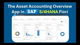 The Asset Accounting Overview App in SAP S/4HANA Finance explained (F3096)