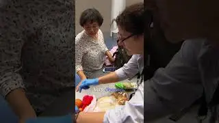 Diseased Fruit Could Devastate Australia! #bordersecurity #shorts