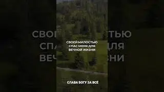 6 февраля 2024 г.