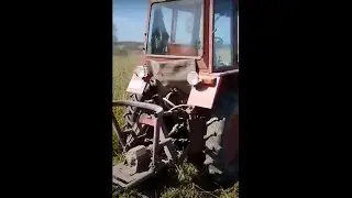 Сбиваю цепями ботву на картошке (Вертушка). Трактор Т-25