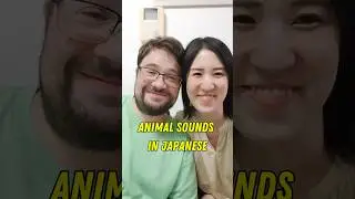 Did you know any of these?Animal sounds in Japanese 🐶🐱🐸🐴🐷🐮🐔#日本語