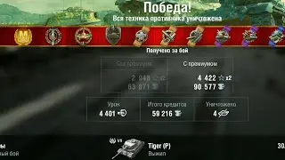 Элитный мастер на Tiger (P) WOTBLITZ