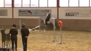 Working Equitation Trail 3 Stephan und Pescador