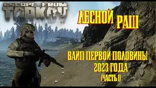 Escape from Tarkov (вайп первой половины 23 г. ч. 1) #2023 #youtube #escapefromtarkov #eft #history