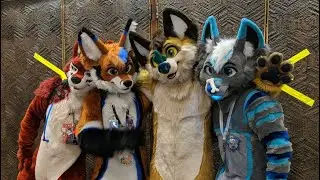 Fursuit unboxing Furnal Equinox FurTheWinStudio
