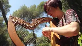 Once Upon a Harp, one-woman show by Sarah Nichols