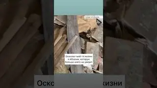 Осколки чьей-то жизни в Абхазии, которую больше никто не увидит