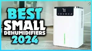 Top 7 Best Small Dehumidifiers You can Buy Right Now [2024]