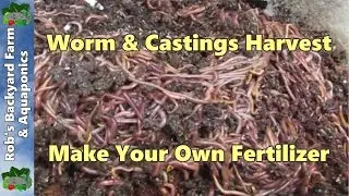 Worm & vermicast harvest 2012. Make your own castings fertilizer..