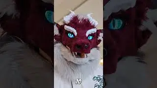 Highlighting The Furry Fandom - Rhadov  #fursuit #shorts #furries #fursuiting  #furryshorts