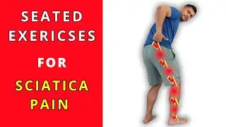 Best Seated exercises for sciatica pain relief