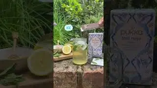 Feel New Mocktail Recipe 🍹