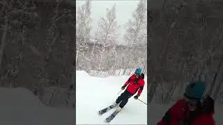 Губаха #shorts