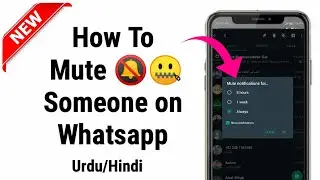 How to Mute Someone on WhatsApp || whatsapp mute feature || WhatsApp Guide Part 4