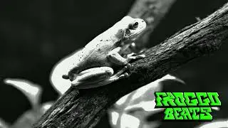 Froggo Beats - Paul Pierce
