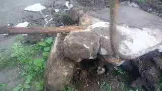 Гуляю ищу металл