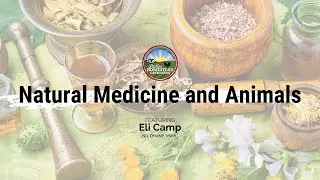 Natural Medicine and Homestead Animals: April 2023 National Virtual Gathering