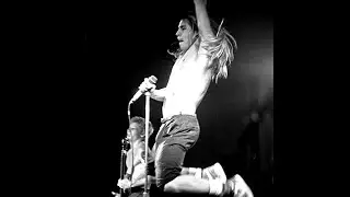 Red Hot Chili Peppers ~ May 2, 1986 ~ Astor Park, Seattle, WA